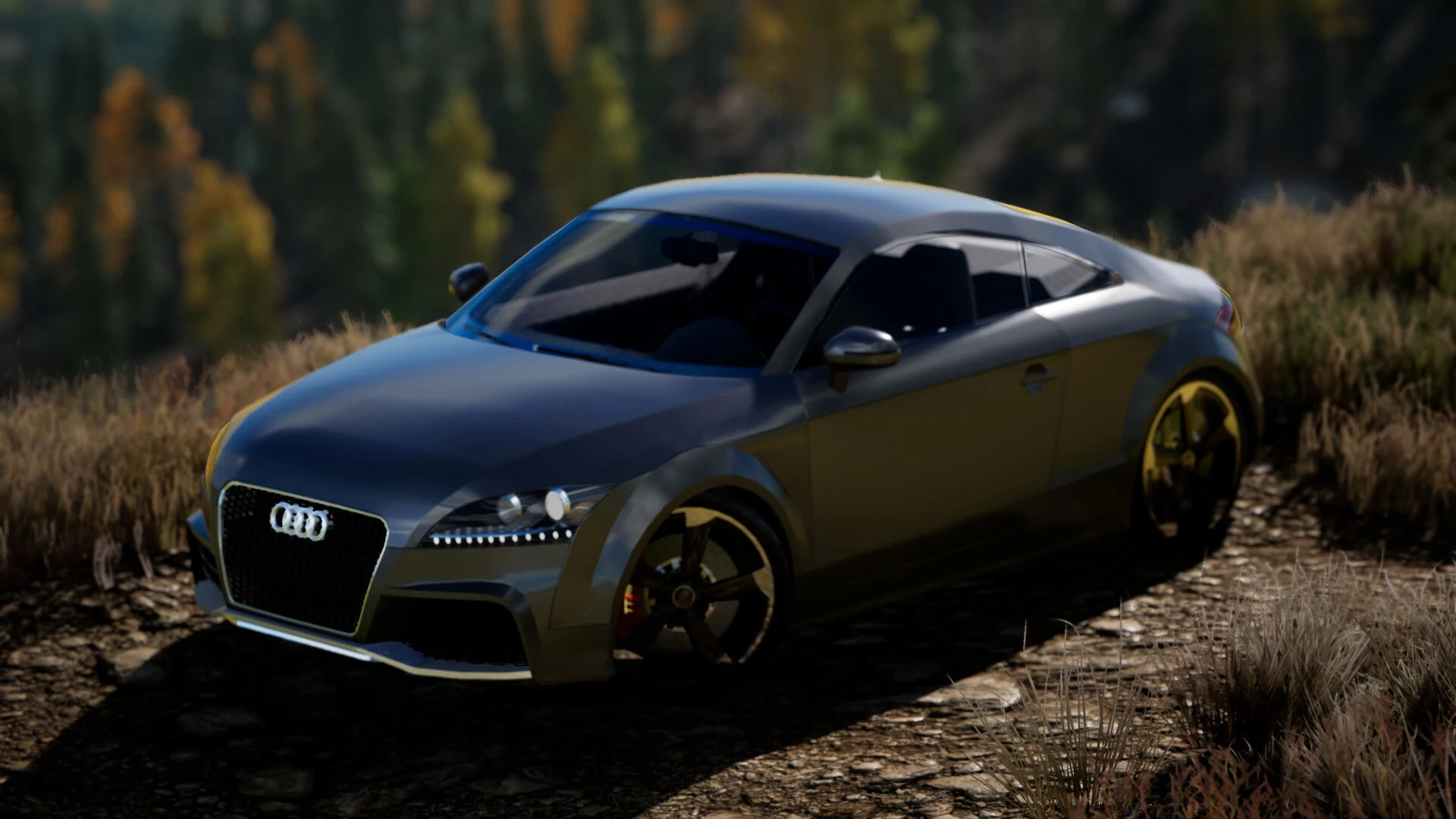 Projects-AUDI TT RS 2013-3.webp